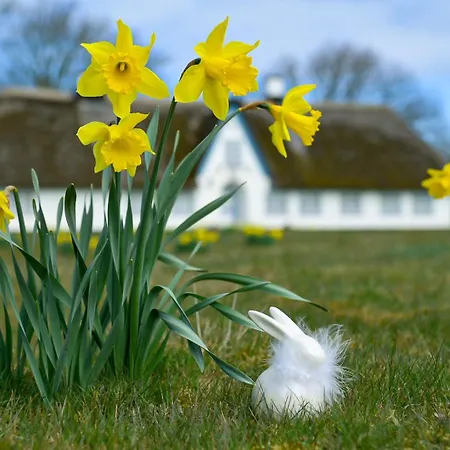 Im Haus Nordland App 75 아파트