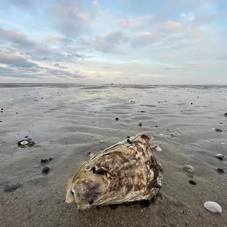 Im Haus Nordland App 75 아파트 베스터란트